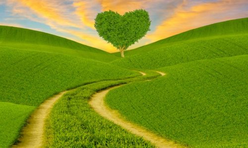 Προβλέψεις αγάπης για όλα τα Ζώδια 25/03