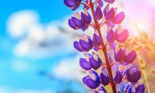 Ζώδια Σήμερα 26/3: Αναθεωρήσεις επιλογών και πάθος για δημιουργία