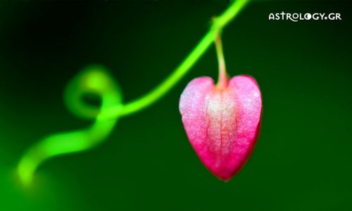 Προβλέψεις αγάπης για όλα τα Ζώδια 17/04