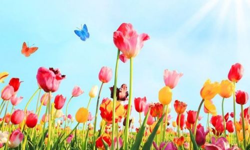 Τι λένε τα άστρα για τον Μάιο 2018;