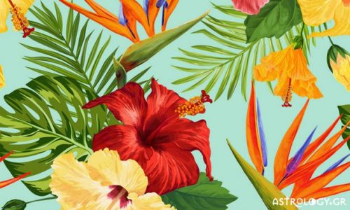 Ζώδια Σήμερα 7/7: Όποιος βιάζεται, σκοντάφτει!