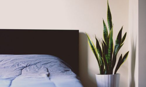 Ιδέες διακόσμησης για το πιο minimal φοιτητικό υπνοδωμάτιο