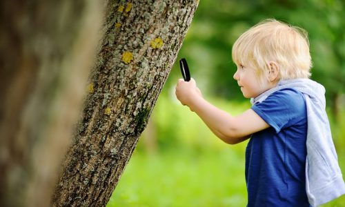 Περιπέτεια στη Χαμένη Ατλαντίδα - Τα σχολεία έκλεισαν, το παιχνίδι ξεκινά!