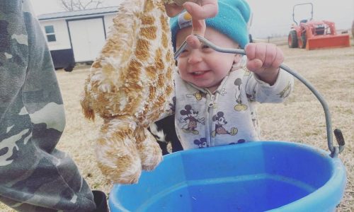 Το μικρό αγόρι που λατρεύει να βοηθά στις δουλειές της φάρμας