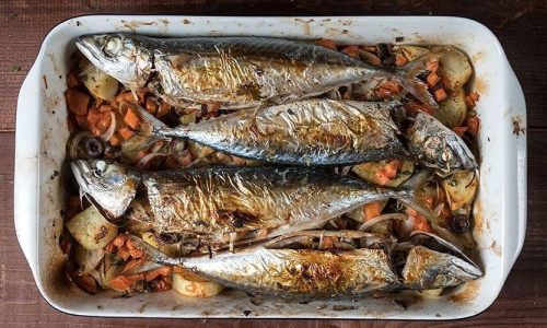 Γεμιστός κολιός πλακί στον φούρνο με ντομάτες και μυρωδικά