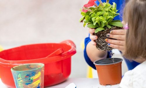 Μάρτιος στη Δημοτική Αγορά Κυψέλης  - Ένα πρόγραμμα για όλους!