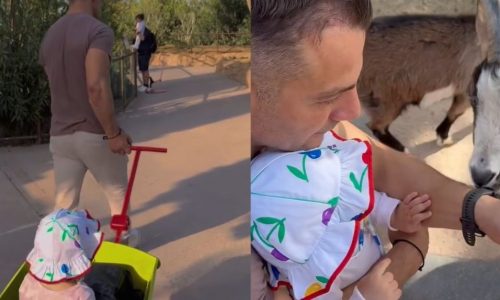 Δείτε τον Γιώργο Αγγελόπουλο σε ρόλο... ξεναγού για την κόρη του – Η βόλτα που έγινε viral