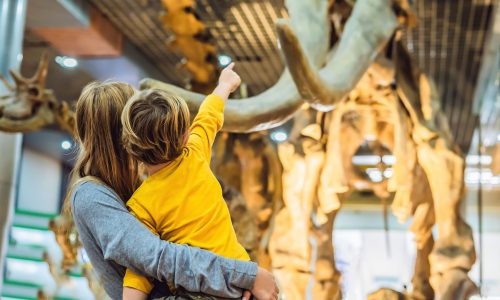 7 καλοί λόγοι για να επισκεφτείτε με το παιδί σας ένα μουσείο