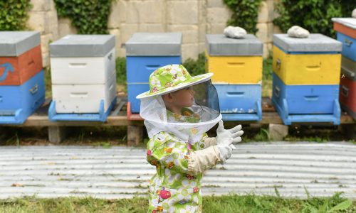 Πώς θα μάθετε στα παιδιά σας να προστατεύουν τις μέλισσες