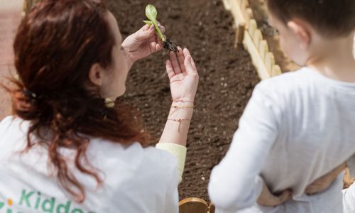 Η Praktiker Hellas ενισχύει το Πρόγραμμα «Το Σπίτι μας Αλλάζει την πόλη» με στρατηγικές συνεργασίες