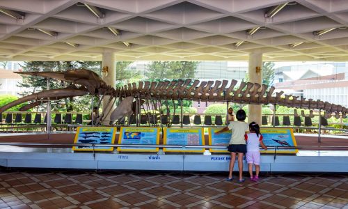 Διεθνής Ημέρα Μουσείων 2025: 6 προτάσεις για να περάσετε μια αξέχαστη μέρα με τα παιδιά σας