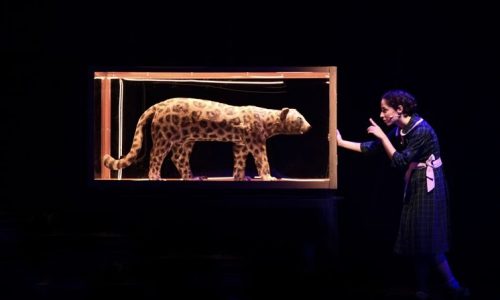 Το θρυλικό «Καπλάνι της Βιτρίνας» επιστρέφει για 2η χρονιά στο Ίδρυμα Μιχάλης Κακογιάννης