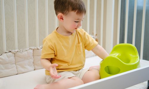 Όλα όσα πρέπει να ξέρεις πριν ξεκινήσεις την εκπαίδευση τουαλέτας