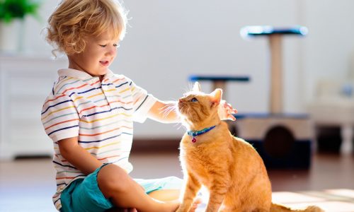 5 πράγματα που θα μάθει το παιδί σας μεγαλώνοντας με μια γάτα