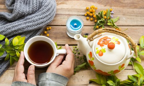 H λυγαριά (Vitex Agnus Castus) έχει πραγματικά οφέλη για τη γονιμότητα;