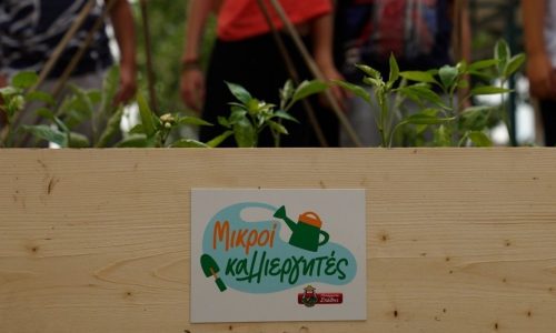 Πώς ένας σχολικός λαχανόκηπος μπορεί να μετατραπεί σε μάθημα διατροφής (και ζωής)