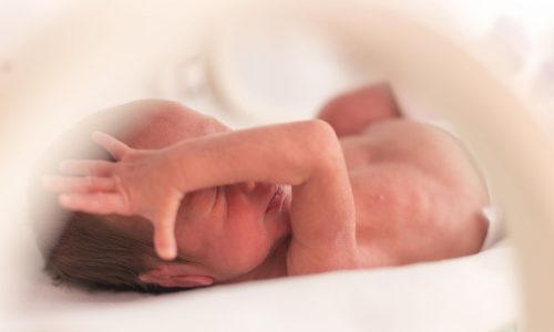 Τα βακτήρια του εντέρου ίσως προβλέπουν τον πρόωρο τοκετό, δείχνει νέα μελέτη