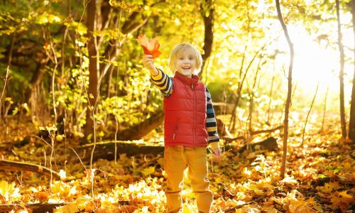 6 δραστηριότητες για να διδάξεις στο παιδί σου τα πάντα για το φθινόπωρο