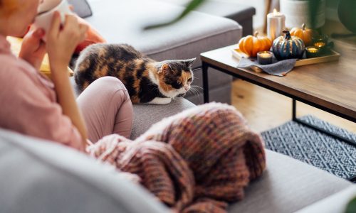 Halloween διακόσμηση που μπορείτε να κρατήσετε όλο το φθινόπωρο