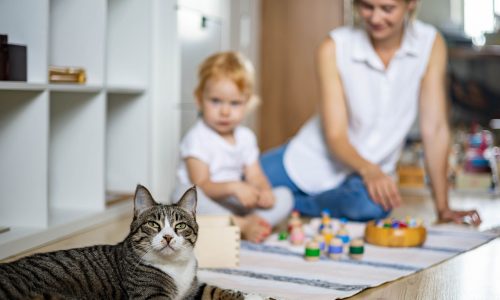 Μέθοδος Montessori - Τι να γνωρίζουν οι γονείς