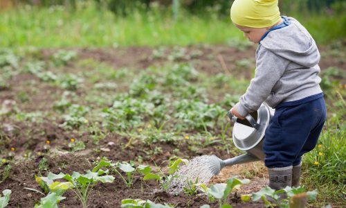 Το μικροβίωμα του βρέφους: To «αόρατο θεμέλιο» της ψυχικής υγείας