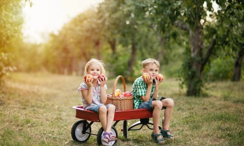 Πώς να κάνετε τα παιδιά σας να αγαπήσουν τη σωστή διατροφή;