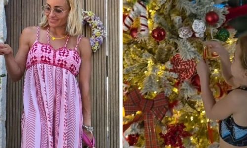 Βασιλική Μιλλούση: Το εντυπωσιακό χριστουγεννιάτικο δέντρο που στόλισε με τις κόρες της