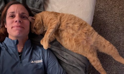 Η Κατερίνα Στεφανίδη δείχνει πώς μεγαλώνει μωρό… με μια γάτα που τα θέλει όλα δικά της