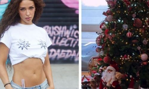 Χριστουγεννιάτικη μαγεία στο σπίτι της Ελένης Φουρέιρα: Το δέντρο που έκλεψε τις εντυπώσεις