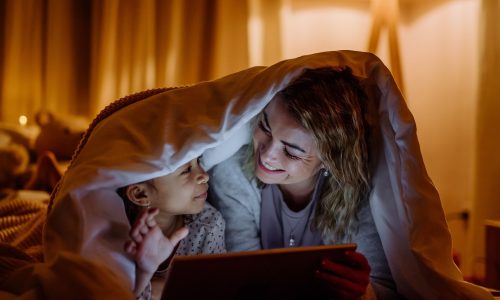 Οικογένεια «Νυχτοπούλι» - Εσείς γνωρίζετε τι χαρακτηρίζει αυτή την οικογένεια;