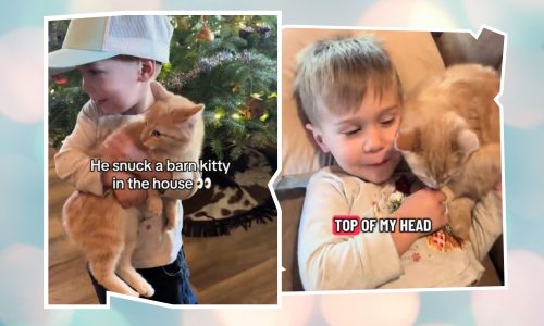 Έτσι είναι η ενσυναίσθηση όταν είσαι 2 ετών - Άμεση, ακατάστατη, γεμάτη πεποίθηση