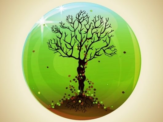 Εσύ τι ζώδιο είσαι στο Κέλτικο ωροσκόπιο;