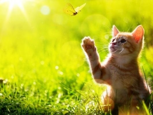 Ετσι πρέπει να ζεις τη ζωή σου σύμφωνα με το ζώδιό σου