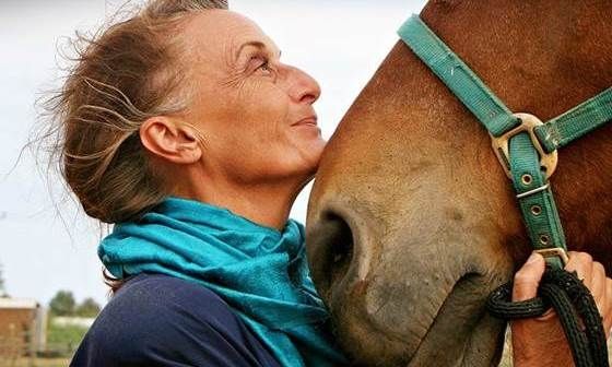 Ιππόλυση: Το κέντρο που σώζει άλογα!