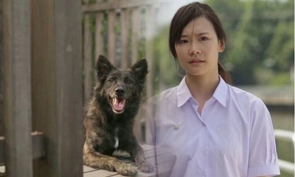 Από τα πιο συγκινητικά βίντεο που έχουμε δει στο youtube: Πώς μία κοπέλα αποφάσισε να γίνει κτηνίατρος