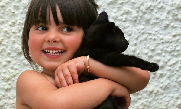 Ημέρα Αγκαλιάς Γάτας η σημερινή! Eμπρός λοιπόν! Αγκαλιάστε τα γατιά σας! (βίντεο)