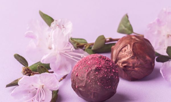 Καλοκαιρινά τρουφάκια με blueberries χωρίς ψήσιμο