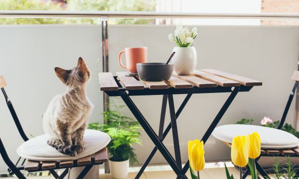 Μικρό μπαλκόνι: 10 ιδέες για να το διακοσμήσετε με φυτά και τα κατάλληλα έπιπλα