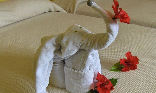 Οι φωτογραφίες έκπληξη που έστελνε κάθε μέρα ένας μπαμπάς στο παιδί του