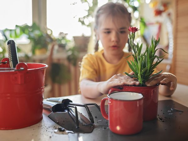 Καλωσορίστε τη νέα χρονιά φυτεύοντας ένα λουλούδι με τα παιδιά σας