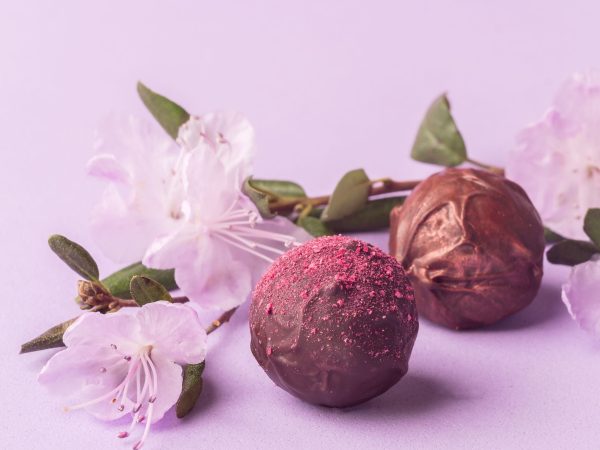 Καλοκαιρινά τρουφάκια με blueberries χωρίς ψήσιμο