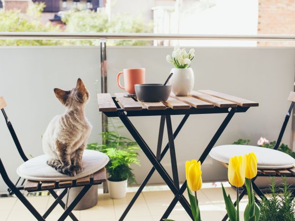 Μικρό μπαλκόνι: 10 ιδέες για να το διακοσμήσετε με φυτά και τα κατάλληλα έπιπλα