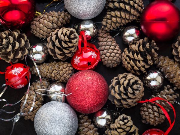 Χριστουγεννιάτικη διακόσμηση με κουκουνάρια: 17 ιδέες για ζεστή γιορτινή ατμόσφαιρα