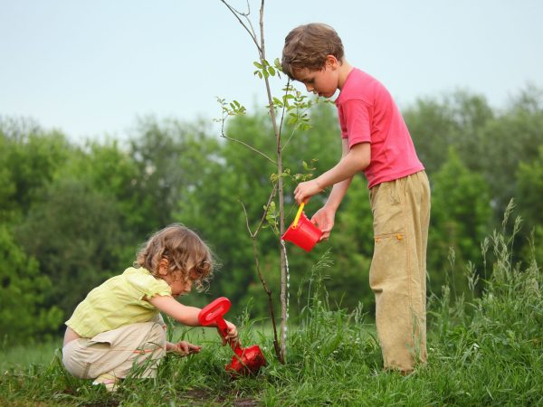12 λόγοι για τους οποίους τα παιδιά λατρεύουν την άνοιξη