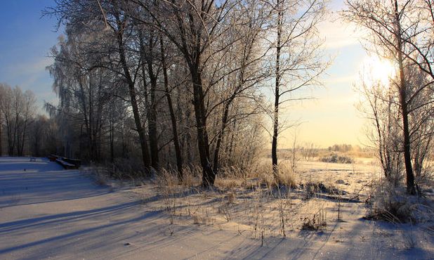 Ημερήσιες Προβλέψεις για όλα τα Ζώδια 03/02