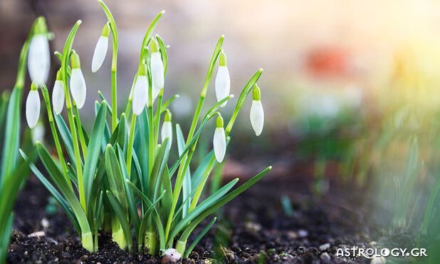 Ημερήσιες Προβλέψεις για όλα τα Ζώδια 06/03