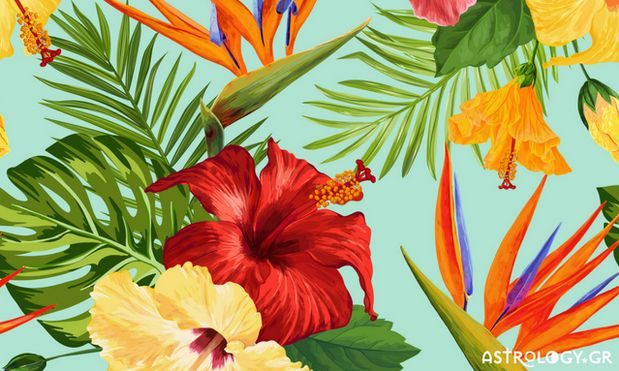 Ζώδια Σήμερα 7/7: Όποιος βιάζεται, σκοντάφτει!