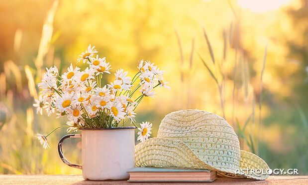 Ημερήσιες Προβλέψεις για όλα τα Ζώδια 03/06