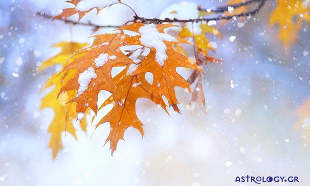 Ημερήσιες Προβλέψεις για όλα τα Ζώδια 06/12