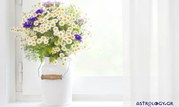 Ημερήσιες Προβλέψεις για όλα τα Ζώδια 23/04